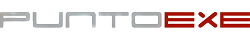PuntoExe